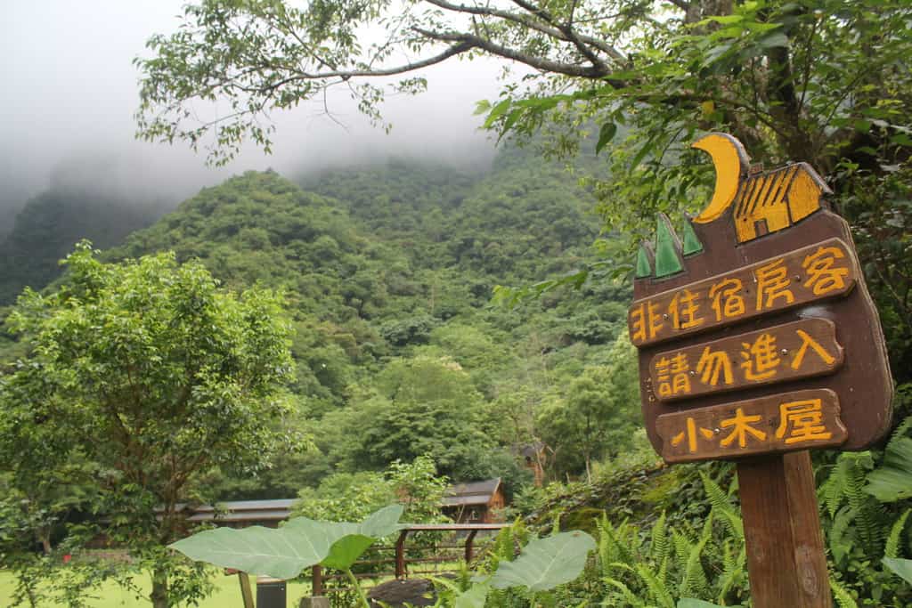 national forest in Taiwan