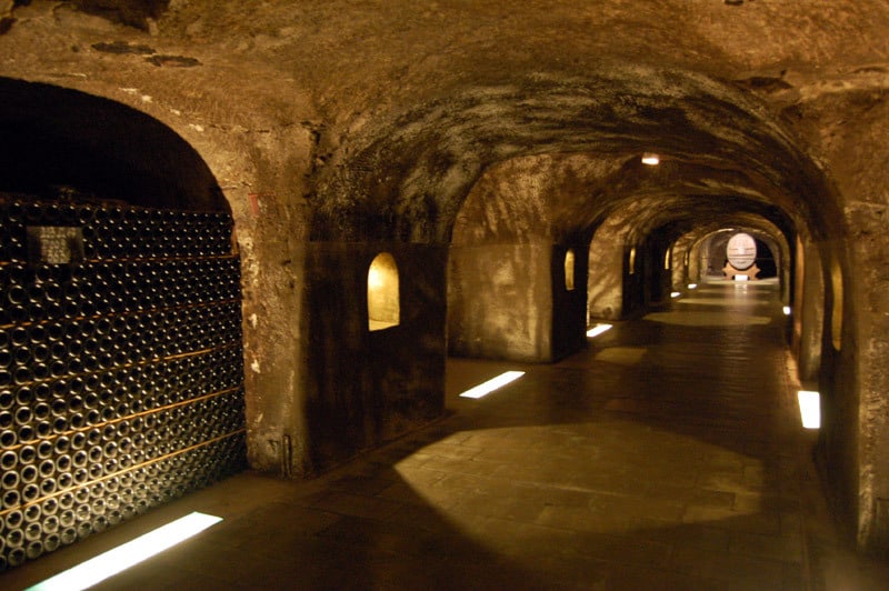 champagne tours in reims