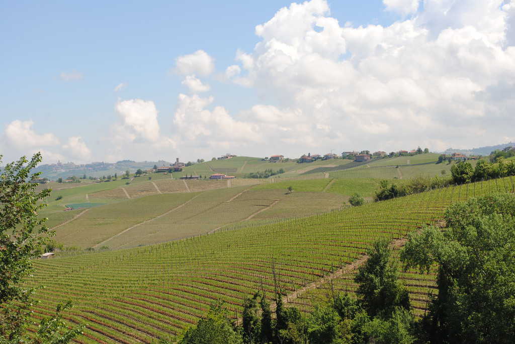 travel with kids to Barolo Italy