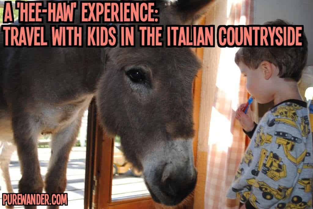 Travel with kids to Italy, donkey and child!