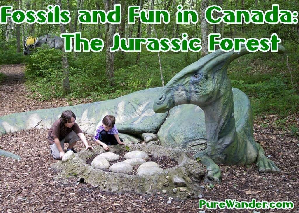Jurassic forest canada with kids