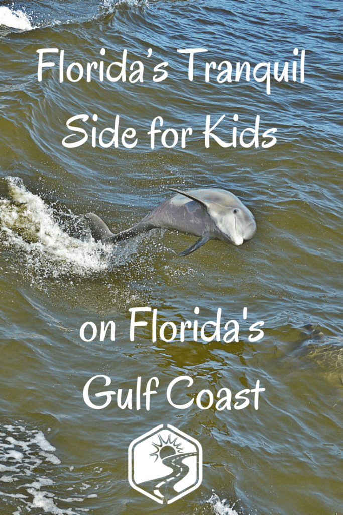 Jumping dolphin near sanibel Island and Captiva Island Florida