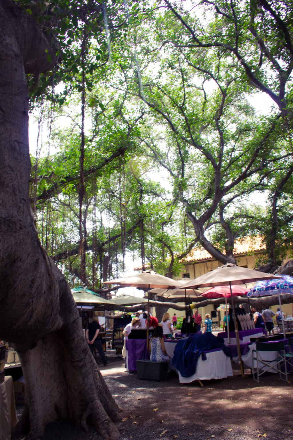 Arts and Crafts Fair and tangled trees