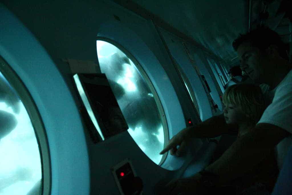 sightseeing in submarine