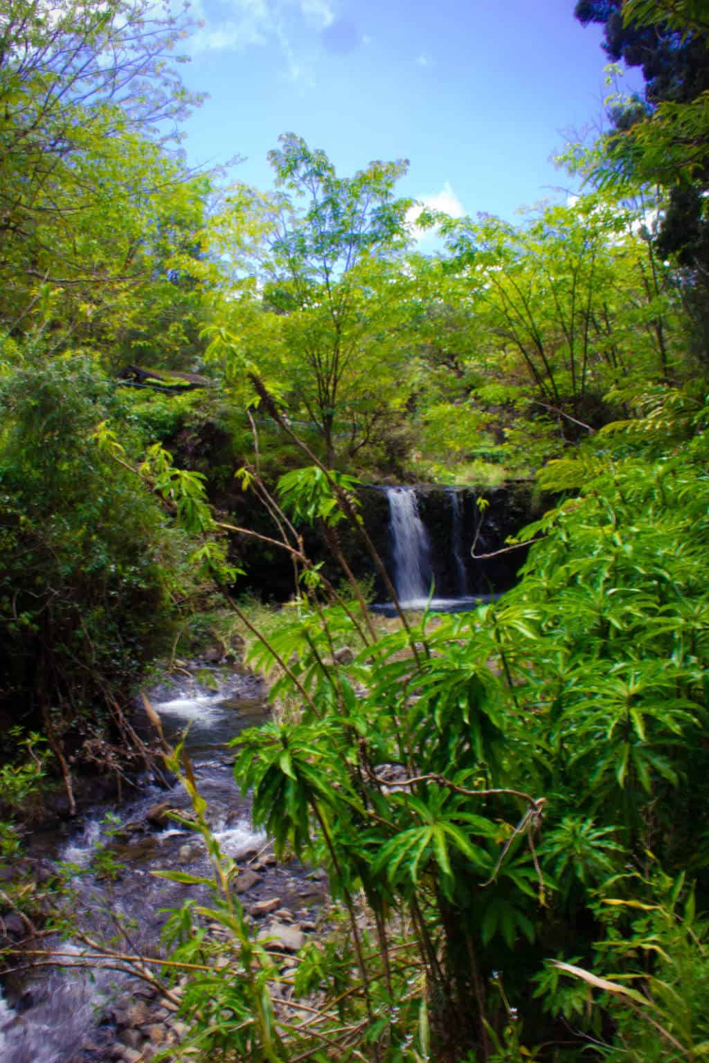 waterfall of waterfalls - hana highway hawaii