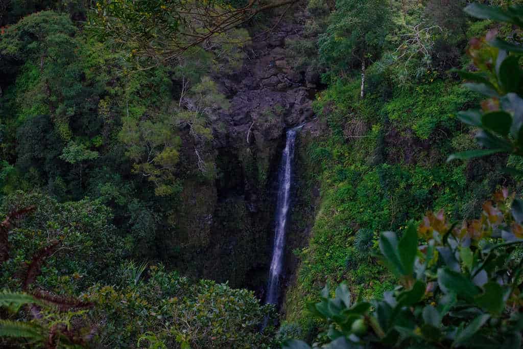 Flora waterfall cliff and trees - hana highway hawaii