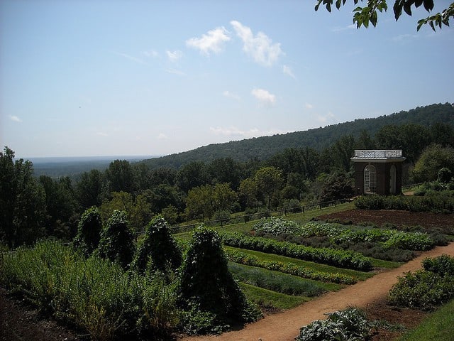 garden in Charlottesville