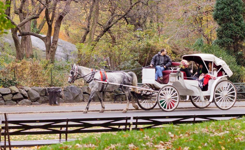 Carriage ride in New York City