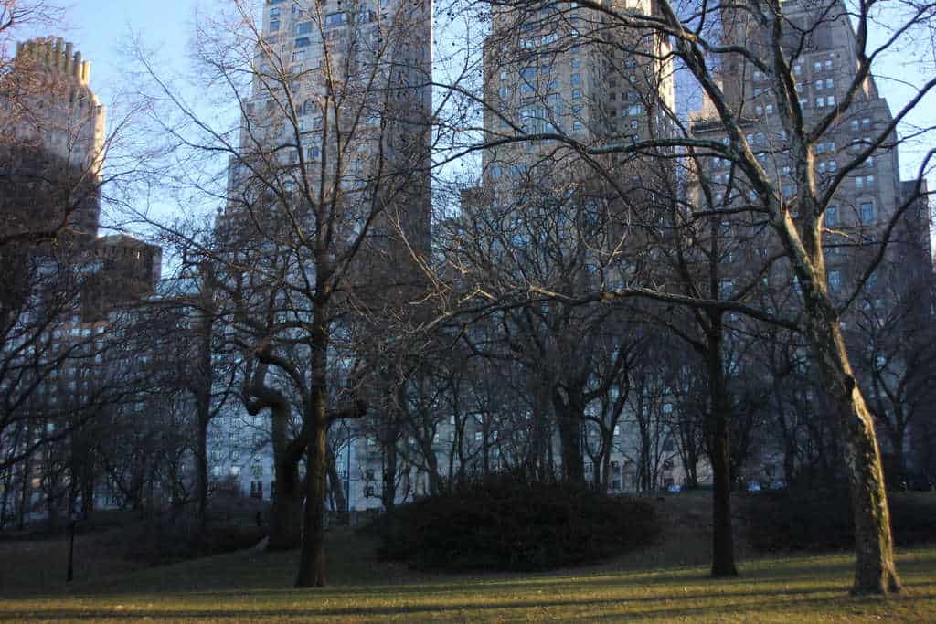 Uptown Girls in New York City | Pure Wander
