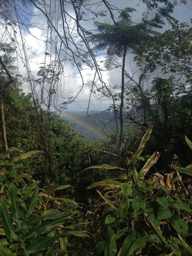 el yunque rainforest san juan with a rainbow