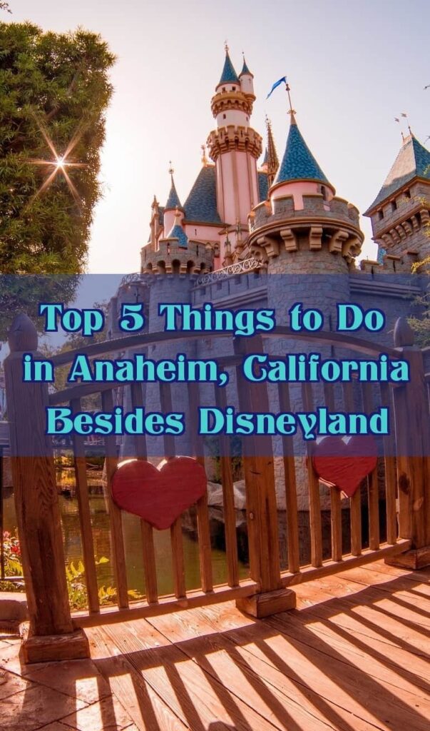 castle Disneyland Anaheim California