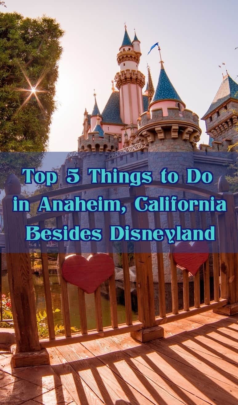 What to Do in Anaheim Besides Disneyland? - Pure Wander