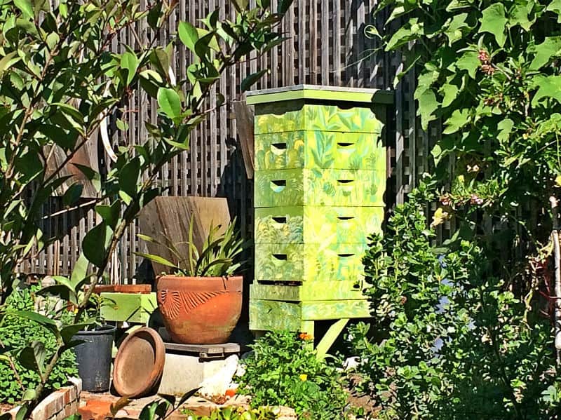 beekeeping garden gigis san fransisco jake wright