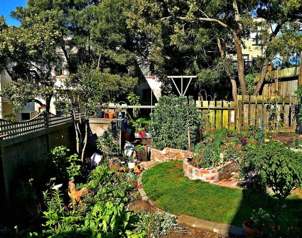 garden area gigis san fransisco jake wright