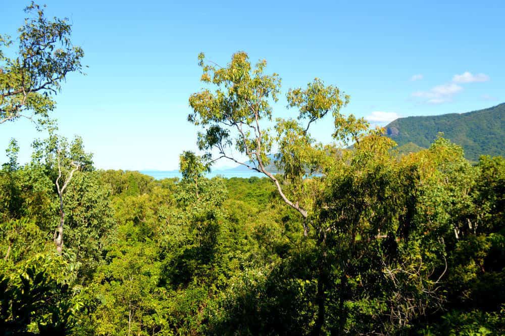Overlooking the ocean in Cairns, Australia