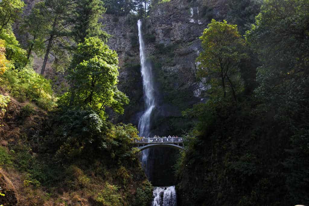 Multnomah Falls in Portland