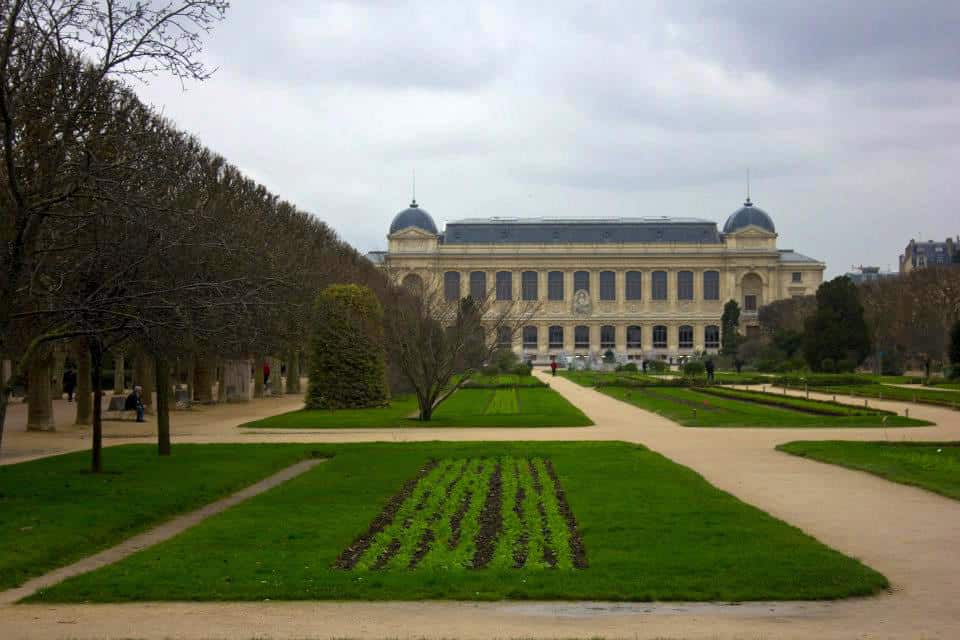 The grounds at the Jardin des Plantes during the winter months. Visit the Winter Garden for year-round plants.