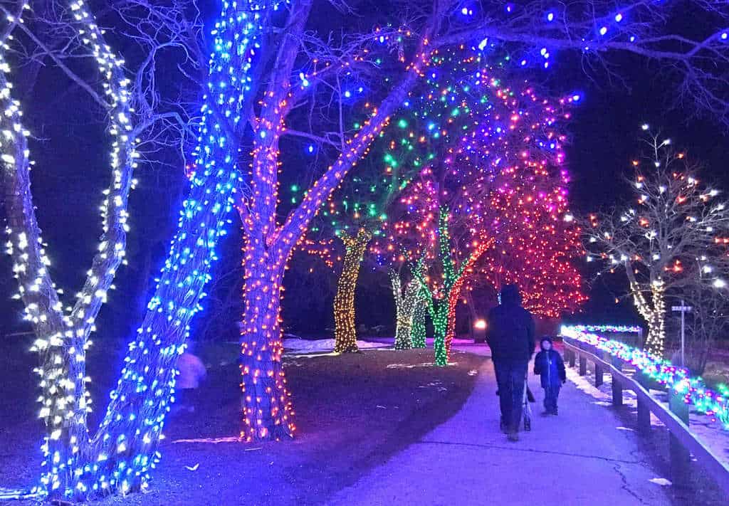Denver Botanic Gardens Trail of Lights is a Hit with the Kids
