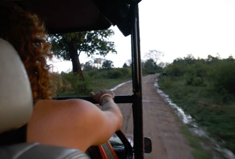 chris on safari what to see in sri lanka eileen cotter wright