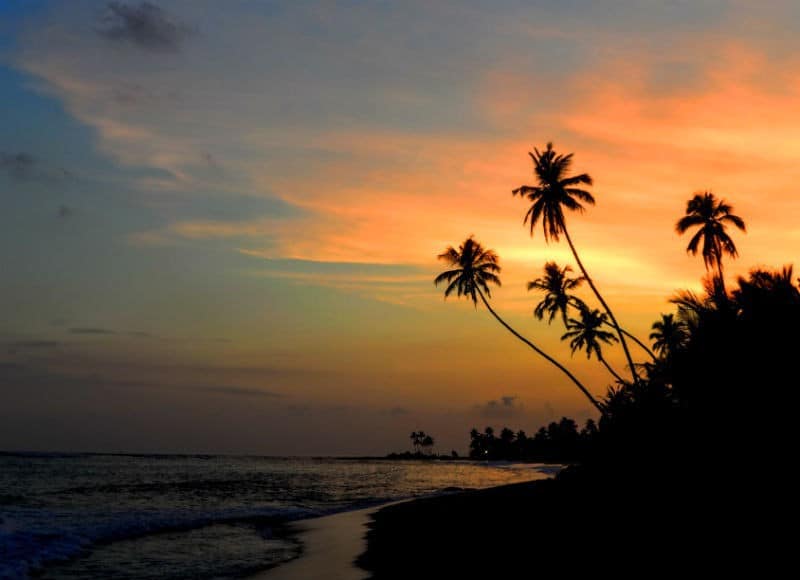 sunset in mirissa what to see in sri lanka by eileen cotter wright