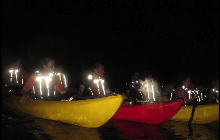bio bay kayakers in puerto rico via Flickr