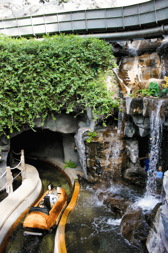 Log Chute at the Mall of America