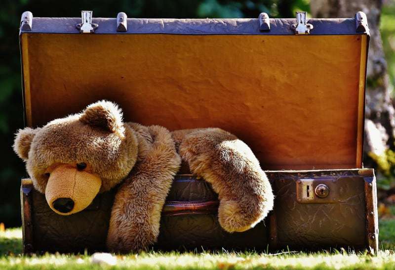 Luggage-teddy-bear