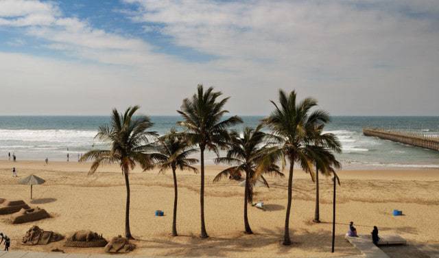 Sur la Mer India Goa beach palm trees