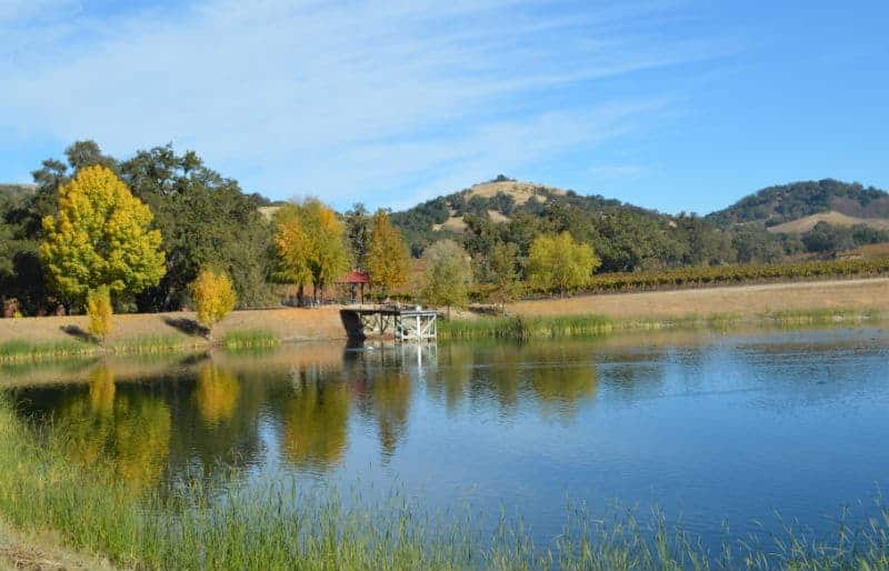 halter ranch pond paso robles california