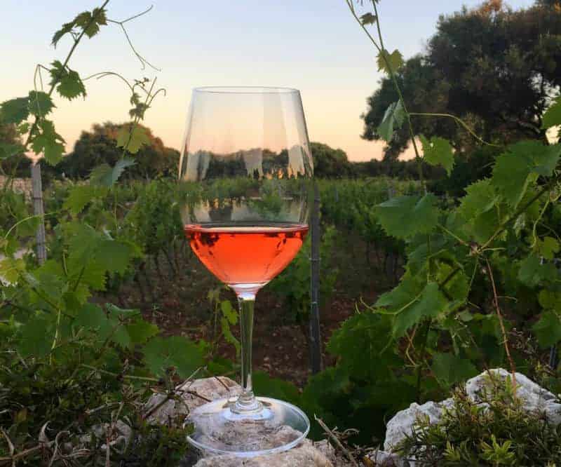 wine glass bodegas binifadet- menorca guide