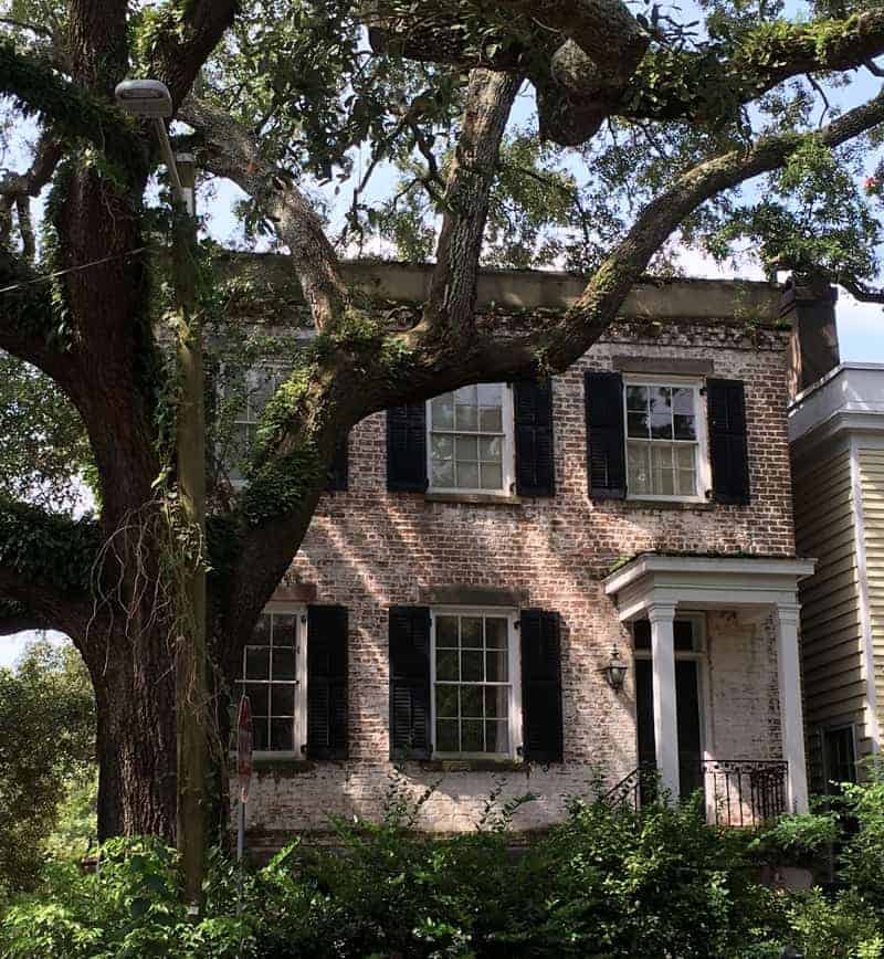 Beautiful homes and spanish moss lined streets in Savannah's Historic District. savannah things to do 