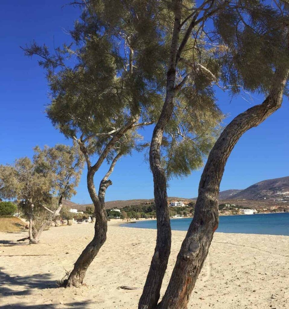 beach near the port city paros greece