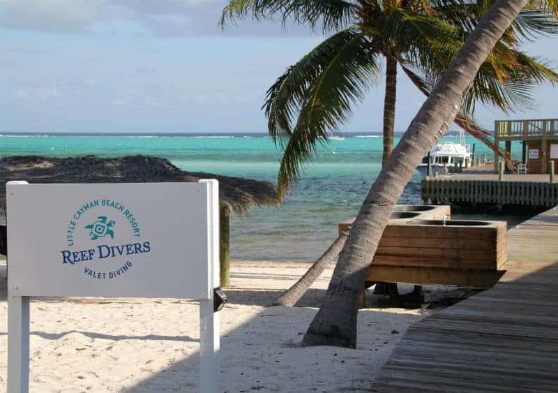 little cayman beach resort best little cayman hotels reef divers