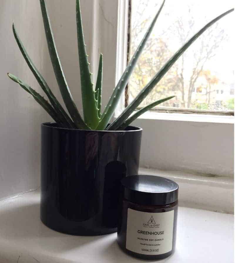 earl of east london greenhouse travel candle