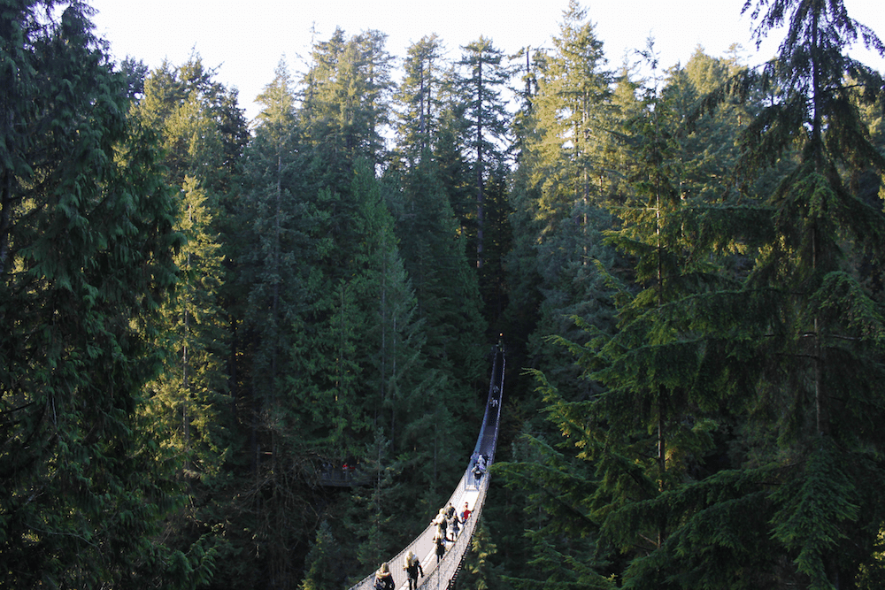 capilano suspension bridge in Vancouver Canada