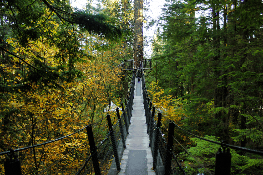 treetops adventure in Vancouver Canada
