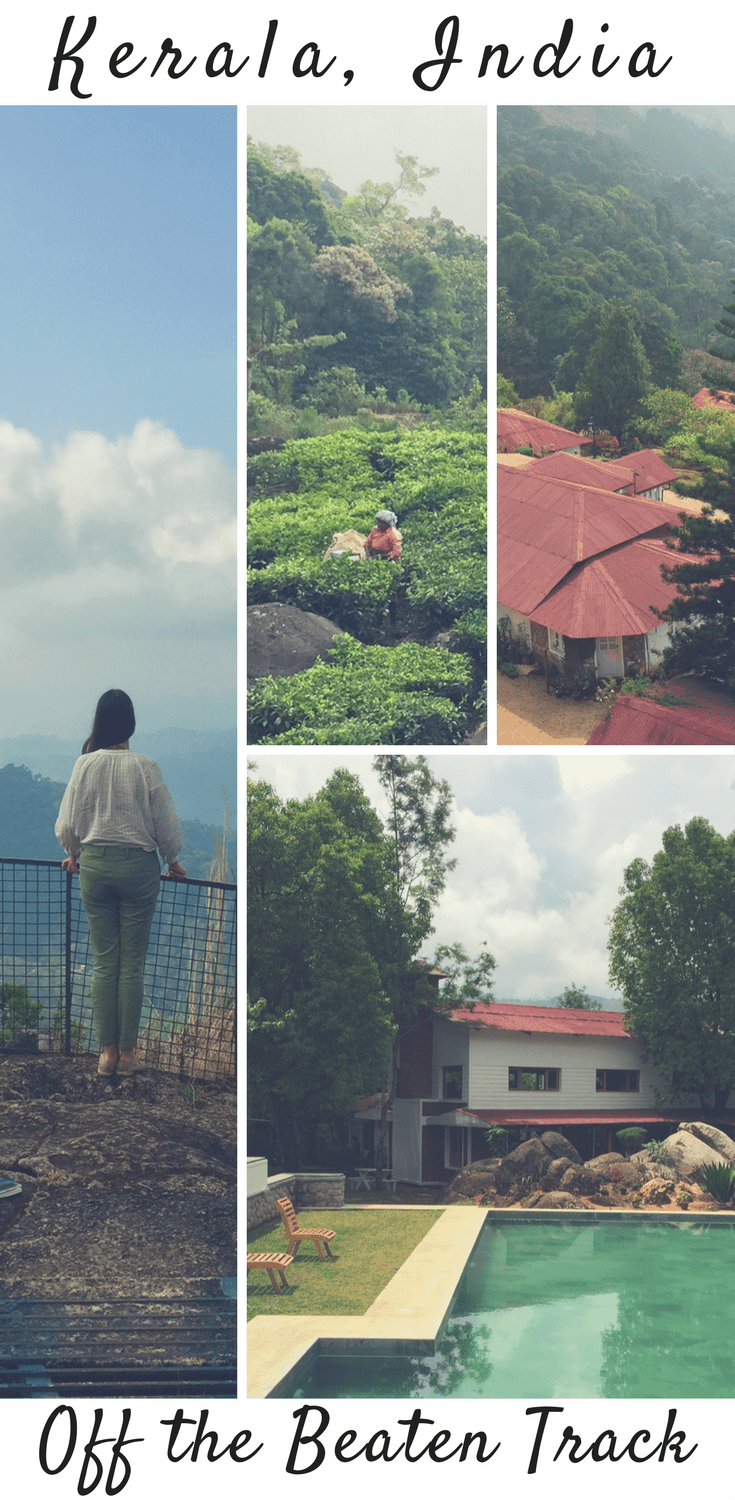 A River House and Tea in Kerala, India: Off the Beaten Track