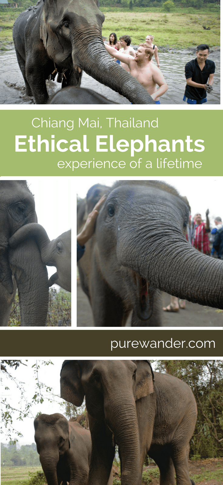 Ethical Elephant sanctuary in chiang mai thailand