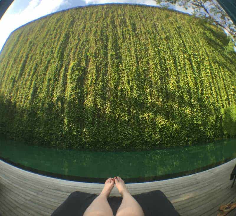 pool at 137 pillars chaing mai thailand