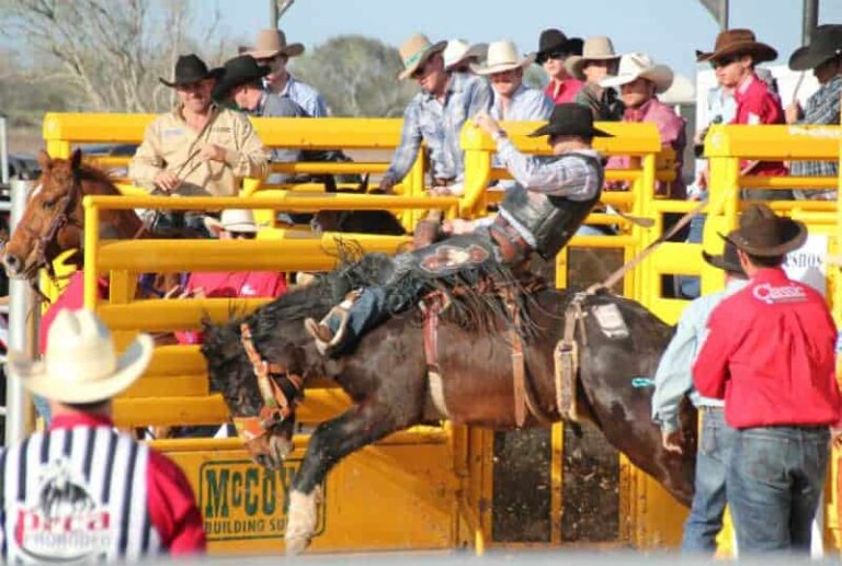 Texas Rodeos Los Fresnos Cowboy Culture Pure Wander