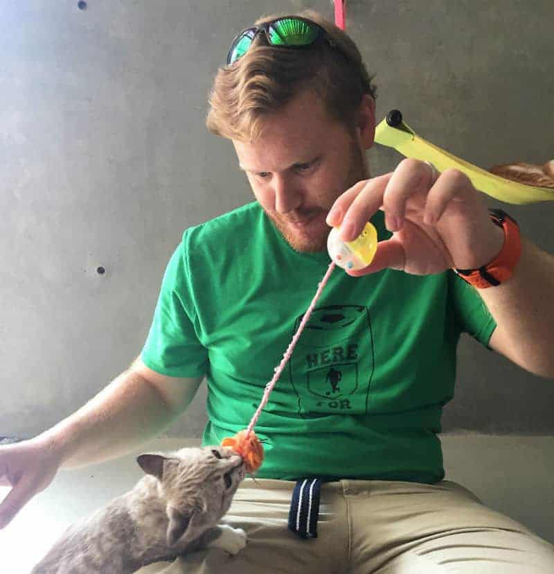 kitten with man at koh lanta animal sanctuary thailand