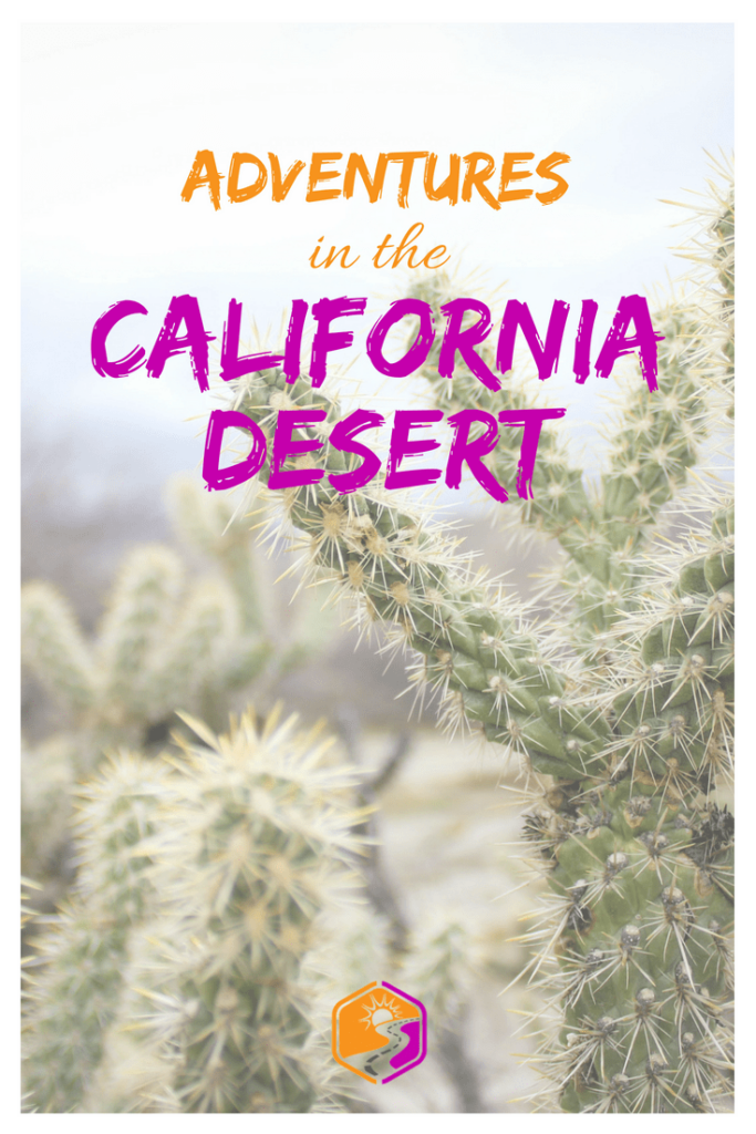 Adventures in the California Desert