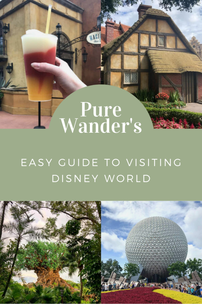 pure wander's guide to disney world