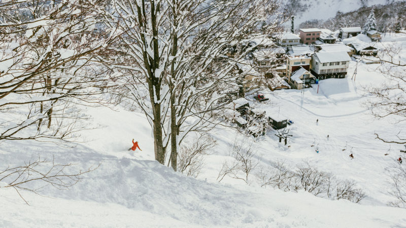 one person skiing in japan far away shot with trees