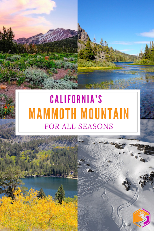 Mammoth for all Seasons