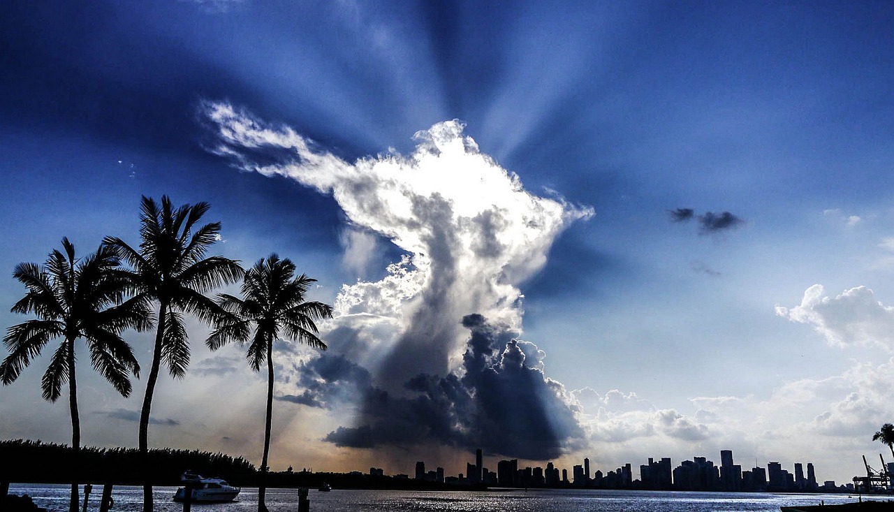 cloud in the sky with palm trees in miami