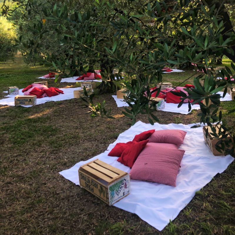 picnic blankets of white an red in olvie grove at scamporella