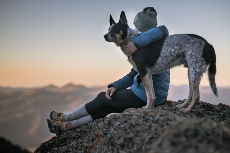 woan and cattle dog atop a mountain