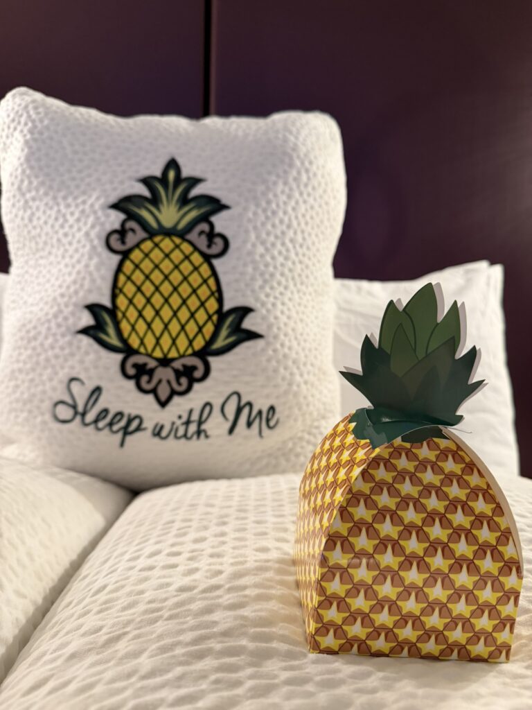 staypineapple pillow and treat