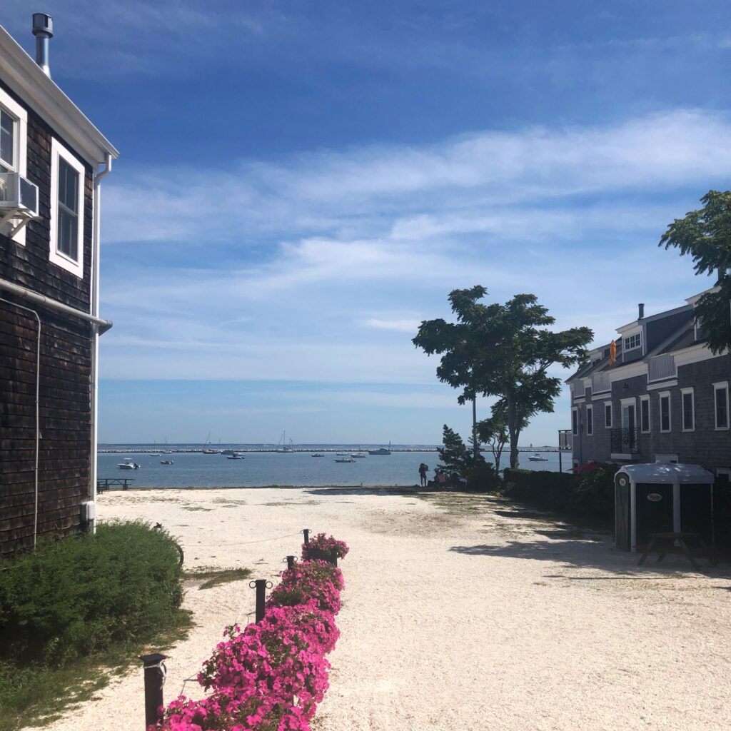provincetown beach and pink flowers